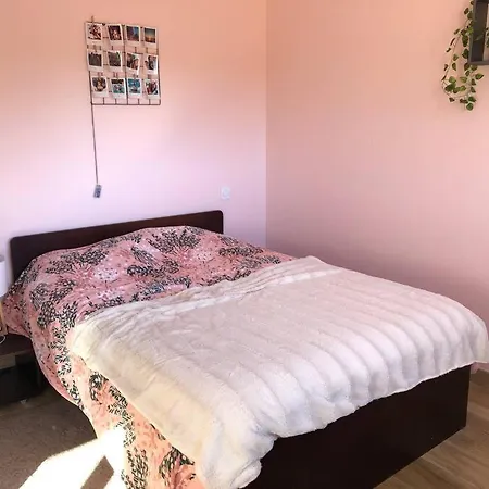 Oliveraie Vila Narbonne